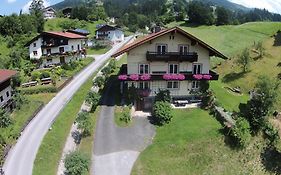 Wonderful Apartment In Hopfgarten Im Brixental With Parking